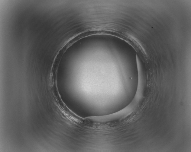 X0000073830876200608240948