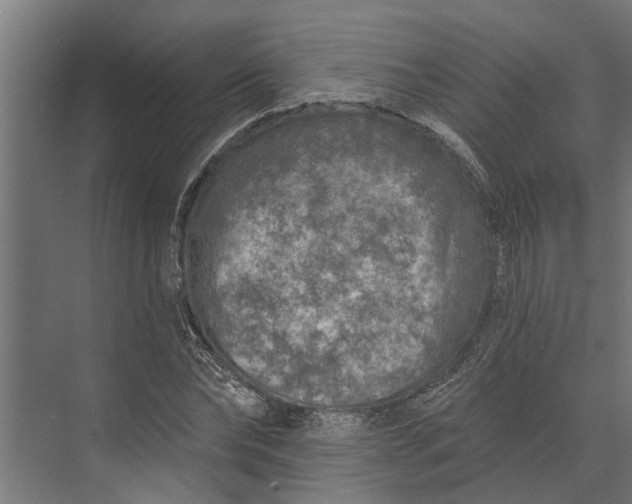 X0000073830878200608240948