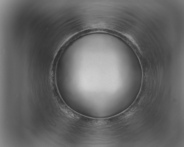 X0000073830879200608240948