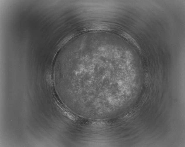 X0000073830882200608240948