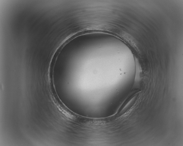 X0000073830884200608240948