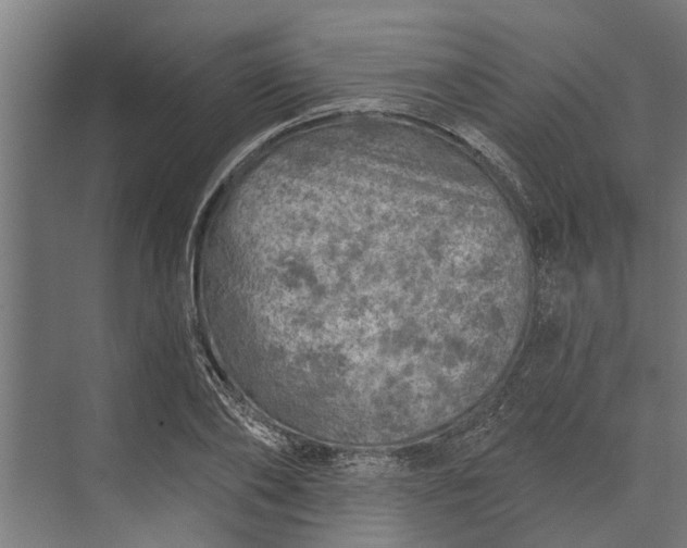 X0000073830886200608240948