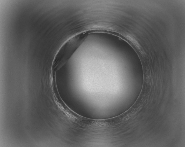 X0000073830888200608240948