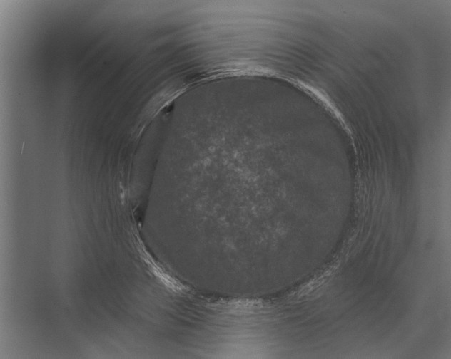 X0000073830889200608240948