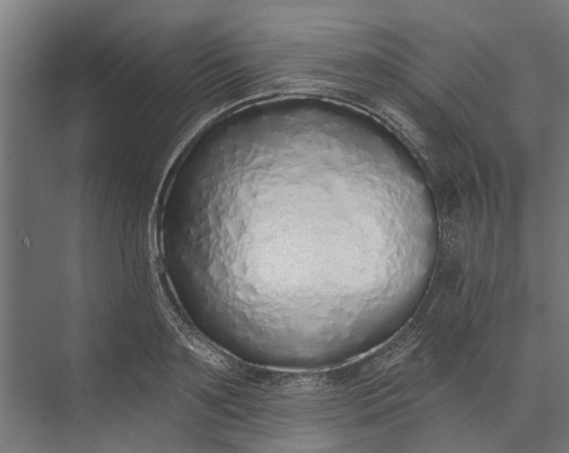 X0000073830891200608240948