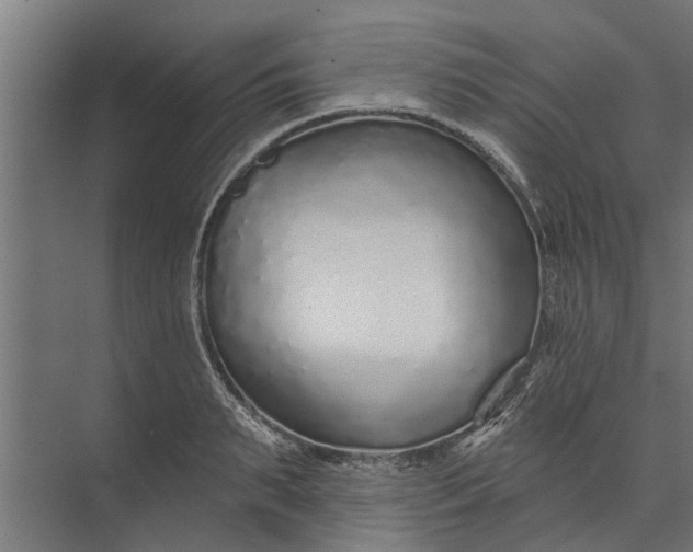 X0000073830895200608240948