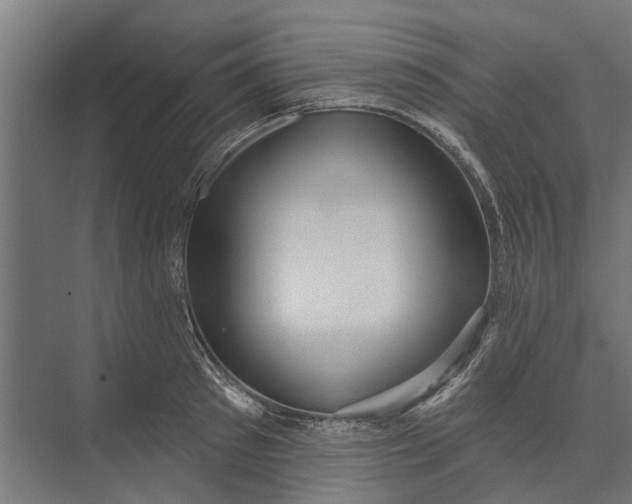 X0000073830897200608240948