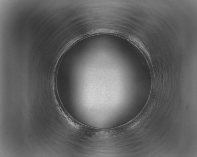 X0000073830898200608240948