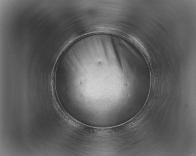 X0000073830899200608240948