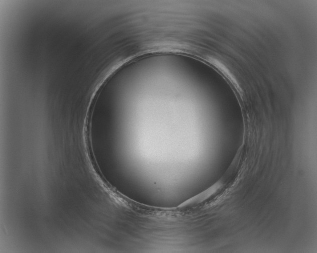 X0000073830901200608240948