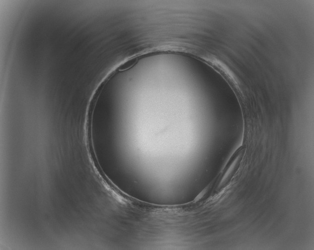 X0000073830902200608240948