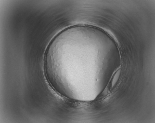 X0000073830903200608240948