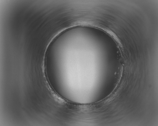 X0000073830904200608240948