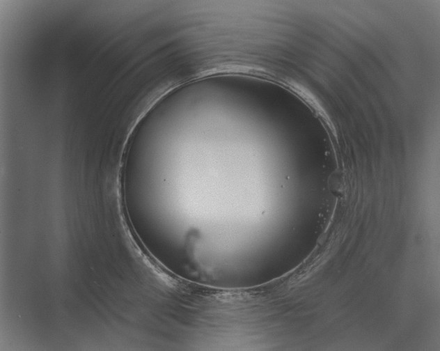 X0000073830906200608240948