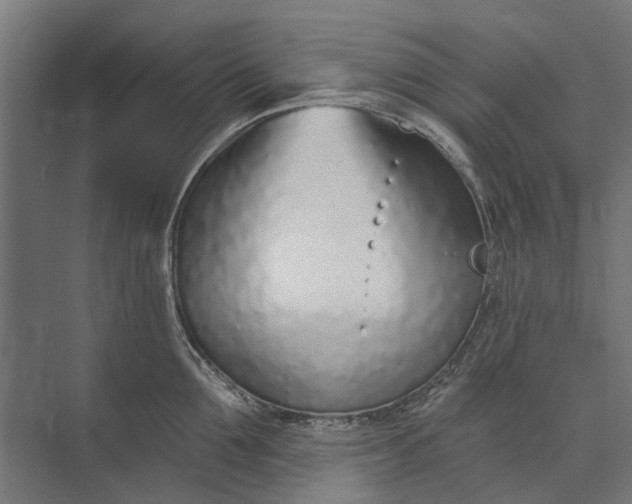 X0000073830907200608240947