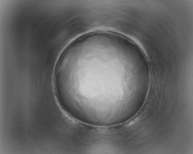 X0000073830911200608240947