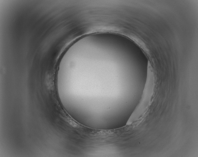 X0000073830912200608240947