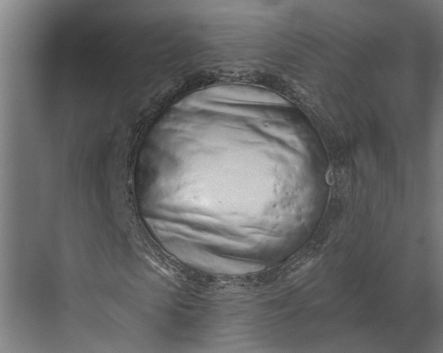 X0000073830913200608240947