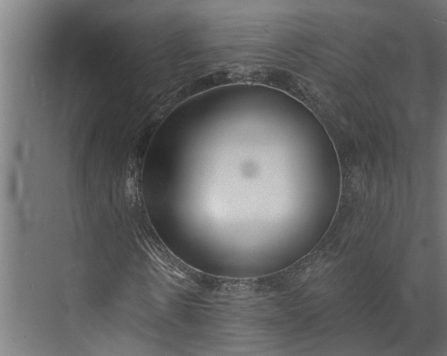 X0000073830914200608240947