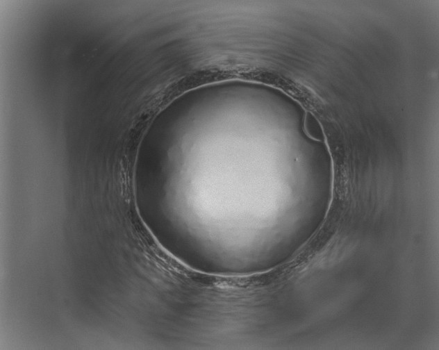 X0000073830917200608240947