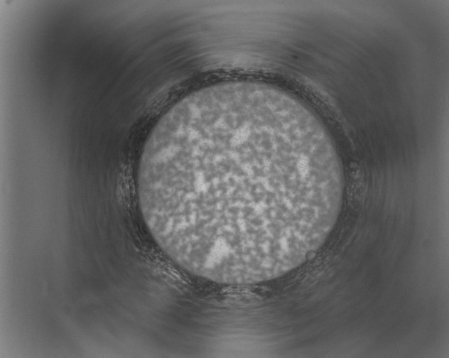 X0000073830918200608240947