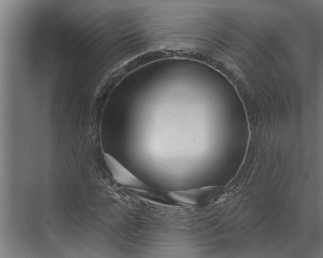 X0000073830920200608240947