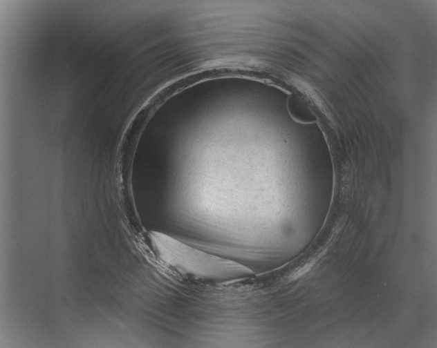 X0000073830923200608240947