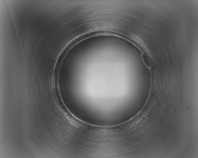 X0000073830924200608240947