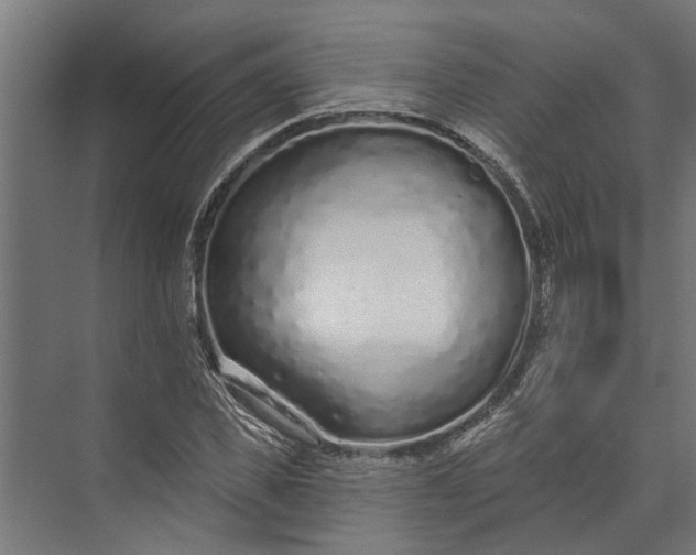 X0000073830925200608240947