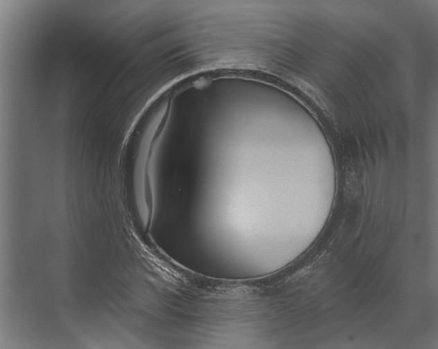 X0000073830926200608240947