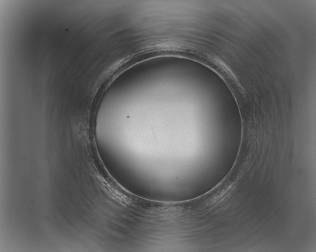 X0000073830930200608240947