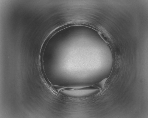 X0000073830932200608240947