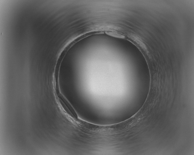 X0000073830936200608240947