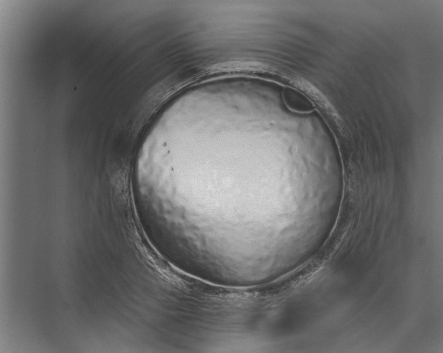 X0000073830937200608240947