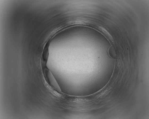 X0000073830938200608240947