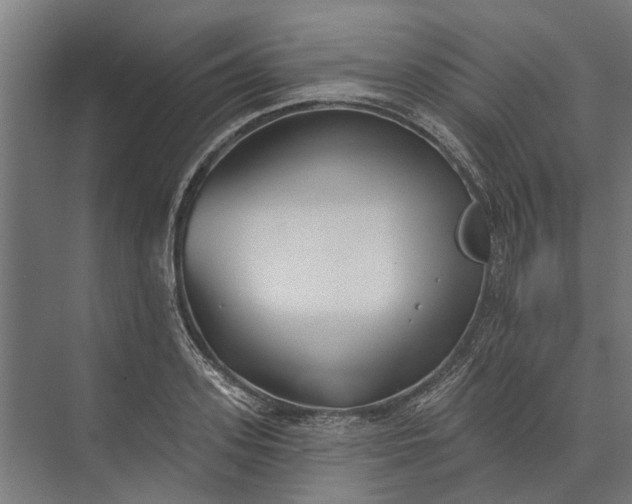 X0000073830939200608240947