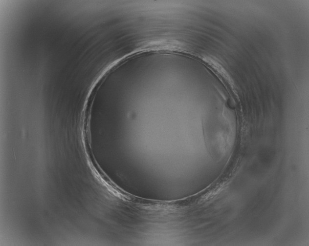 X0000073830941200608240947