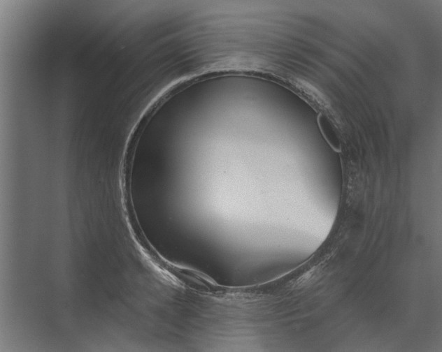 X0000073830942200608240947