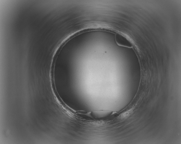 X0000073830943200608240947