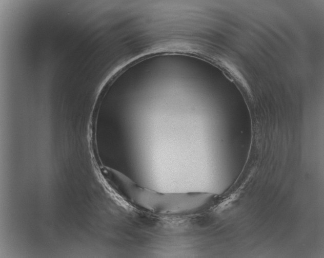 X0000073830944200608240947