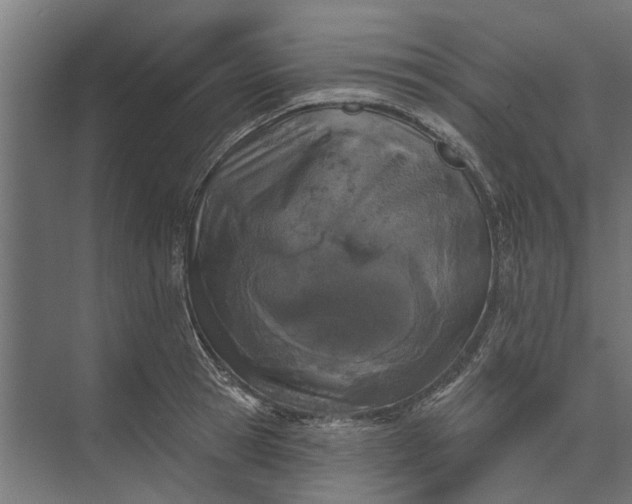 X0000073830945200608240947