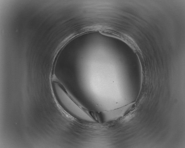 X0000073830946200608240947