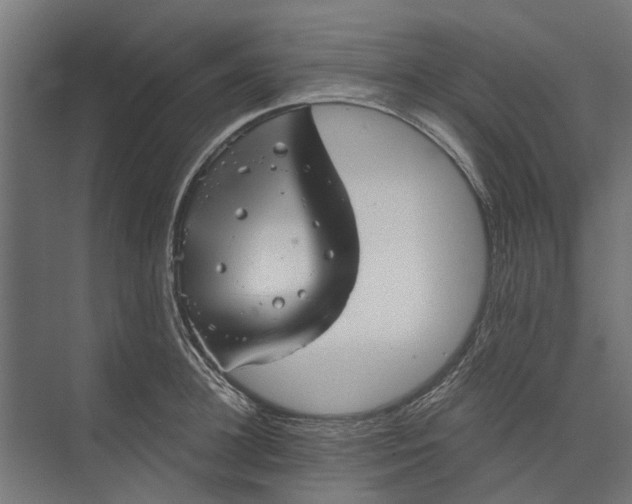 X0000073830948200608240947