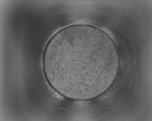 X0000073830950200608240947