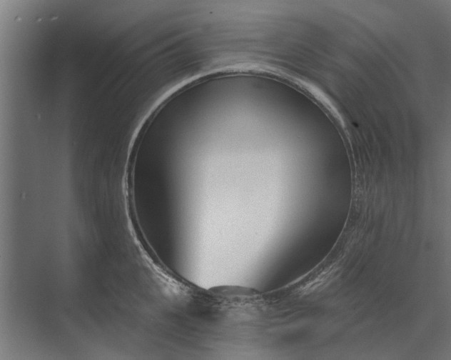 X0000073830951200608240947