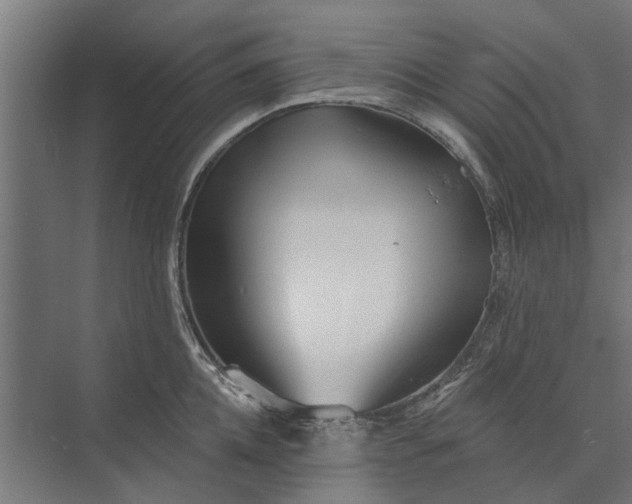 X0000073830952200608240947