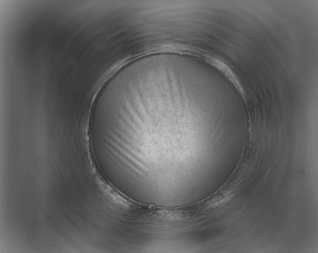 X0000073830954200608240947