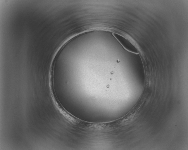 X0000073830955200608240947