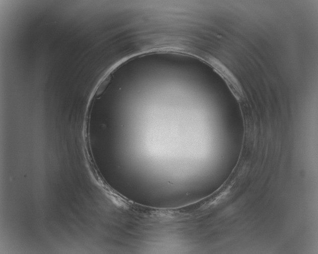 X0000073830956200608240947