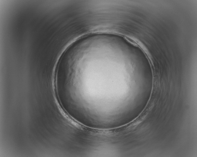 X0000073830957200608240947